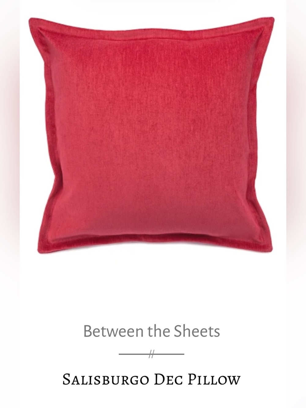 Between the Sheets Salisburgo Red Velvet Decorative Pillow 22x22